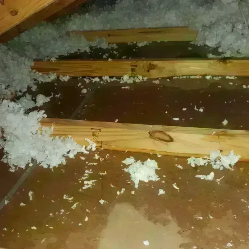 Attic Water Damage in Elmwood, LA