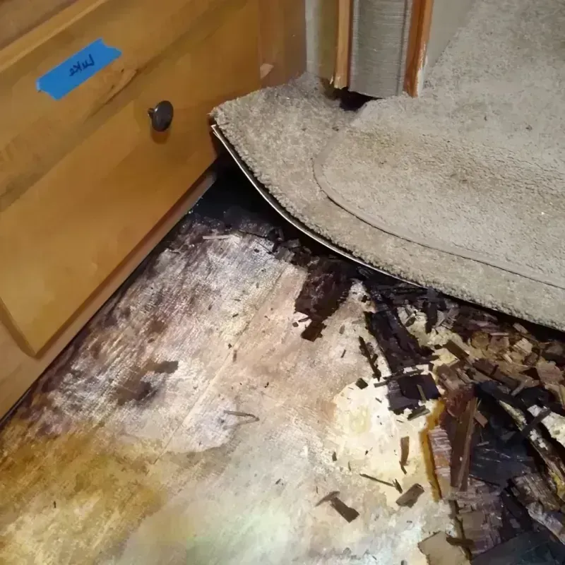 Best Wood Floor Water Damage Service in Elmwood, LA